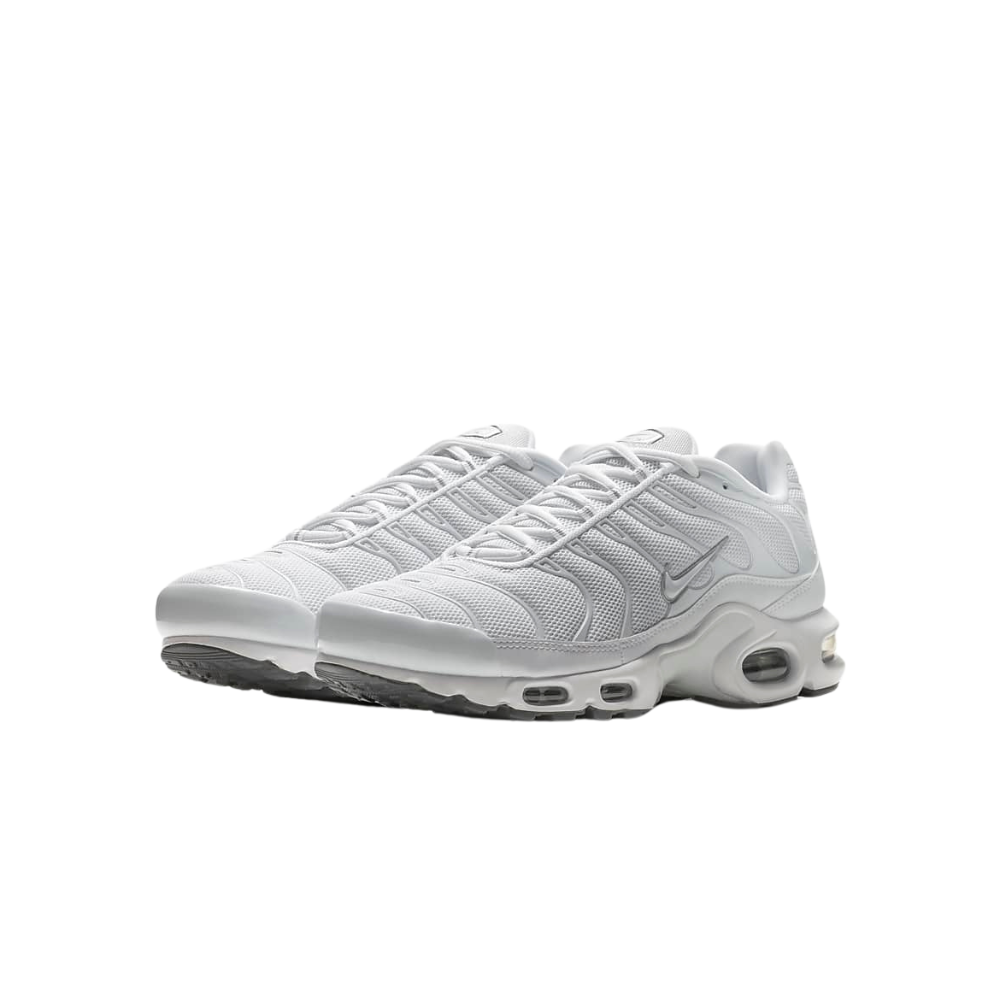 Air Max Plus Cool Grey/Blanc